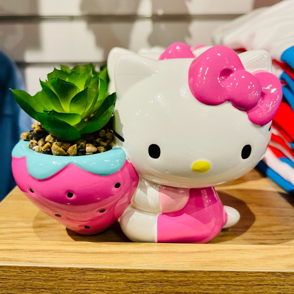 Hello Kitty strawberry succulent decor
